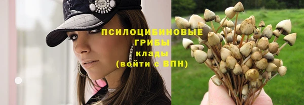 MDMA Дмитриев
