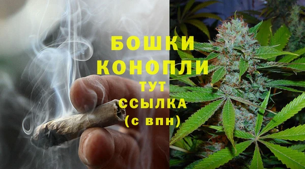 шишки Гусь-Хрустальный