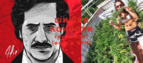 ПСИЛОЦИБИНОВЫЕ ГРИБЫ Дмитровск