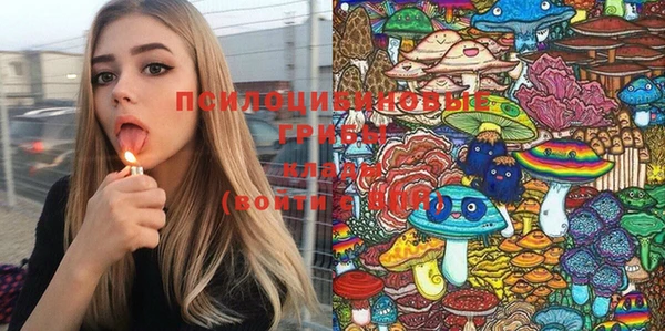 MDMA Дмитриев