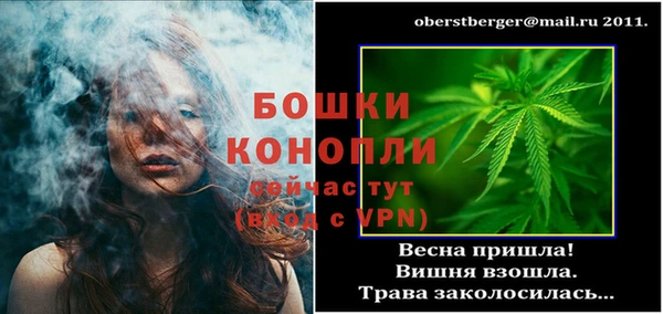 ПСИЛОЦИБИНОВЫЕ ГРИБЫ Дмитровск